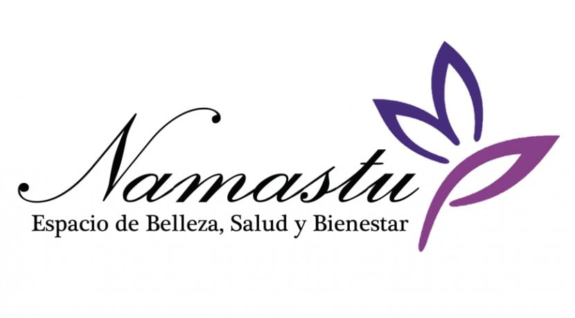 logo-namastu