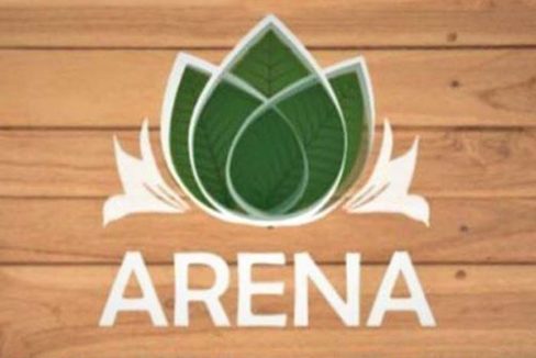 arena beauty center