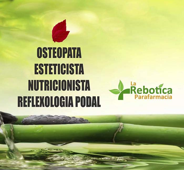 La rebotica